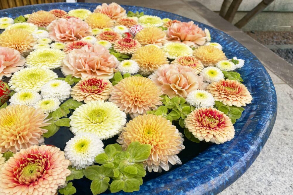【秋の花　花手水】・・・鬼頭郁子｜HANAE MORI OFFICIAL SITE ｜ ハナエモリ公式サイト